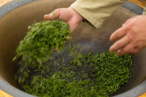istock Chinese craftsmen, handmade tea 1479630230