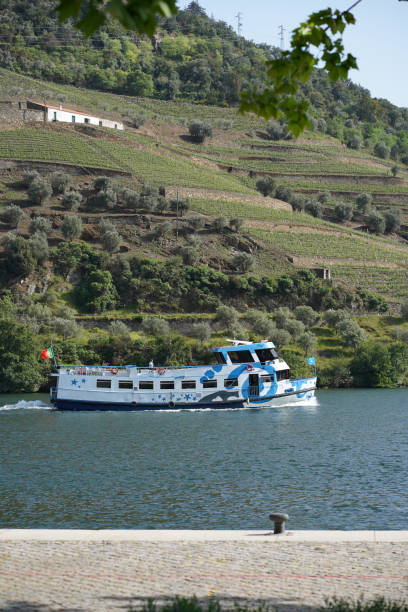 istock Passenger ferry on a lake below vineyards 1479632570