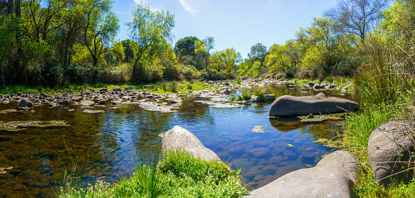Panoramic view of river with stones and blue and green tones of the trees