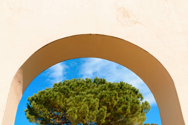 Pine treetop seen through concrete archway on sunny summer day in Lovran, Croatia