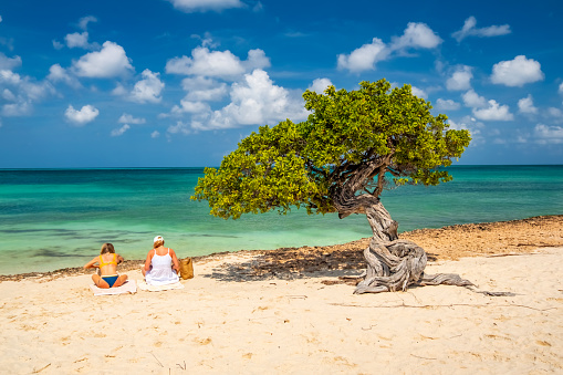Two young women in bikinis sitting on a Caribbean beach.
