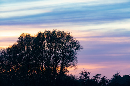 Sunset with pink and purple illuminated clouds against a full blue background at the end of a beautiful fall day.