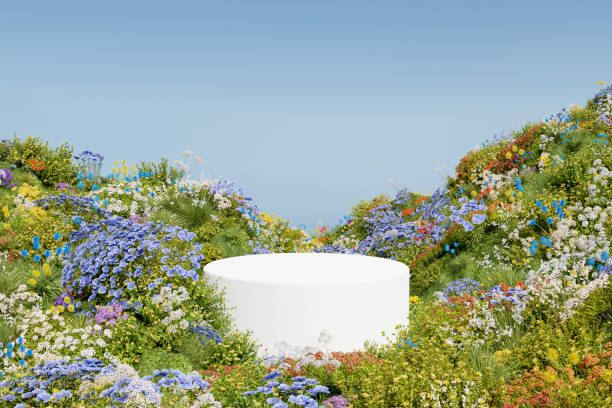 istock Abstact 3d render spring scene and Natural podium background, White stone podium on the colorful flowers and grass field backdrop for product display advertising, cosmetic, etc 1479670658