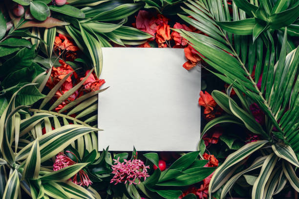 istock Creative tropical layout of leaves and flowers with a square note. Natural concept. 1479676873