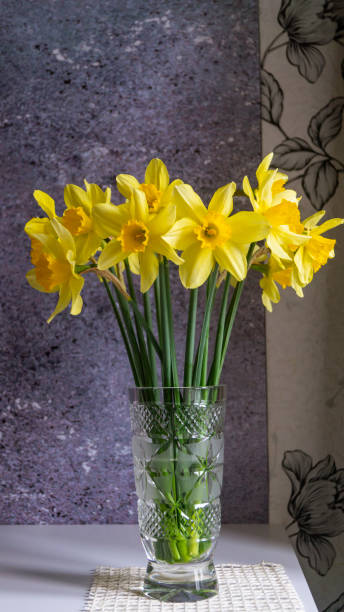 istock Yellow daffodils in a vase on a white table 1479678822