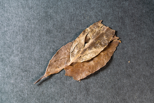 photo of a white plate with bay leaves on a dark wood background, spices and seasonings, dried plants