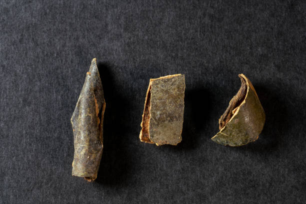istock chinese medicine Wax gourd peel on black background 1479679699