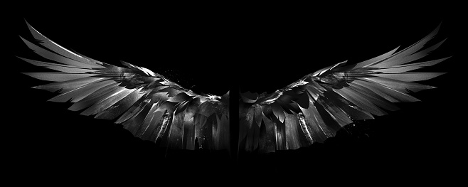 art wings. graphic drawing on a black background
