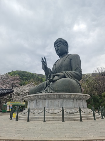 Estatua de Buda en la temporada de primavera photo