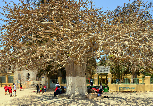 Gorée Island, Dakar, Senegal: people in the shade of large baobab tree by the town hall of Gorée island ('Mairie'), the whole island is a 'commune d'arrondissement' in the Dakar department - colonial building on Government Square - colonial architecture