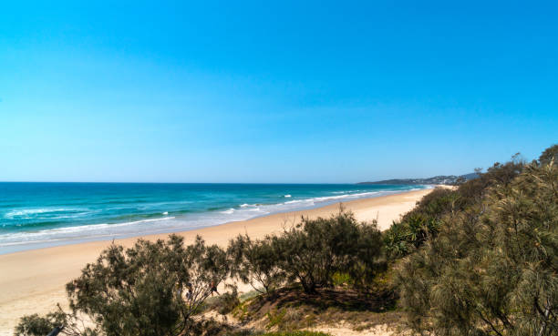 istock Breathtaking view of a pristine beach and ocean waves crushing on the shore. 1479686749