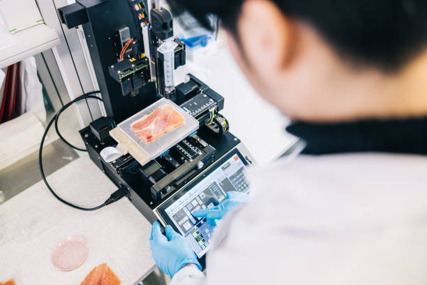 Scientist setting up Bio-ink printer In a quiet, sterile lab environment, a lone scientist adjusts the settings on a sophisticated 3D printer that has been optimized for printing meat from bio ink, a revolutionary new material that has the potential to greatly reduce the environmental impact of traditional meat production. 3d printing lab stock pictures, royalty-free photos & images