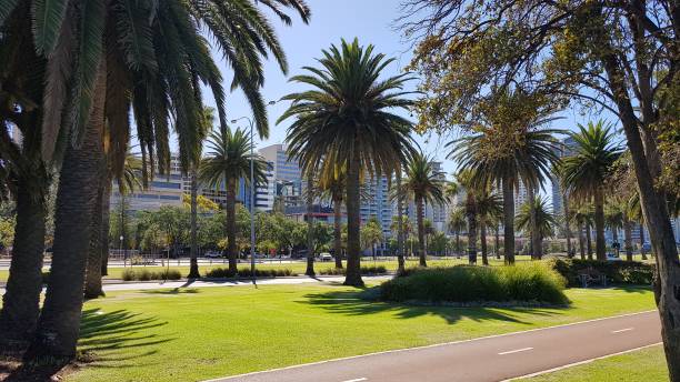 istock 2019 - Trees in Langley Park in Perth, Australia 1479691835