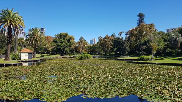 istock 2019 - Lake in Queens Park, Peth, Australia 1479691885