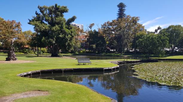 istock 2019 - Water in Queens Park in Perth, Australia 1479691901