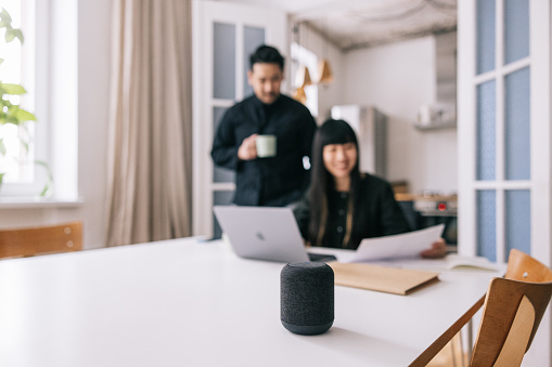 Couple goes over their budget with help from smart speaker, making sure to allocate their funds properly.