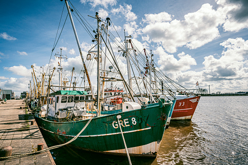 Fishing ships in the port of Zoutkamp at the Lauwersmeer in Groningen, Netherlands during a springtime day.