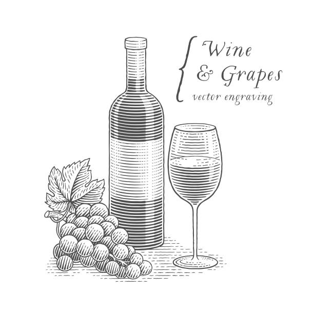 와인 병, 와인 및 포도 한 잔 - branch glass wine berry fruit stock illustrations