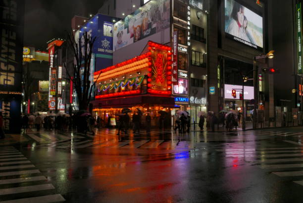 Free Stock Photo of Rainy night in neon-lit Tokyo street | Download ...