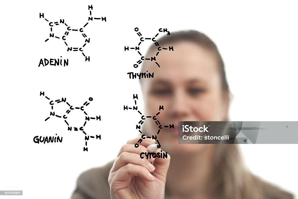 생물학자 는 분자 구조를 질소 자료 - 로열티 프리 과학 스톡 사진
