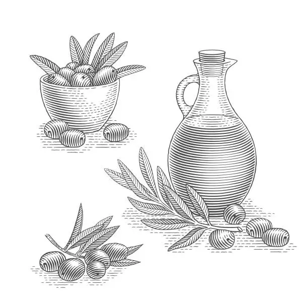 Vector illustration of Olive oil, olives