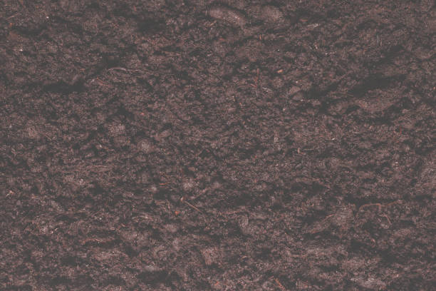 istock Black land for plant background. 1479725906