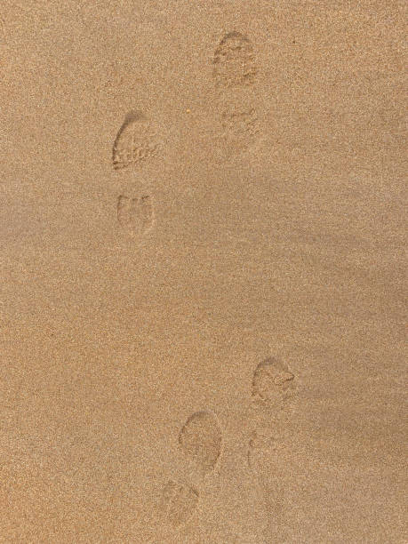 istock Footprints from walking boot in granular sand on an English beach 1479726179