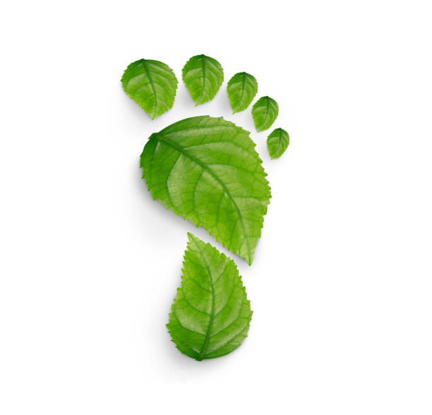 istock green leaf growing footprints, co2 symbol isolated on White Background. Reduce CO2 emission concept.Clean and friendly environment without carbon dioxide emissions. 1479731641