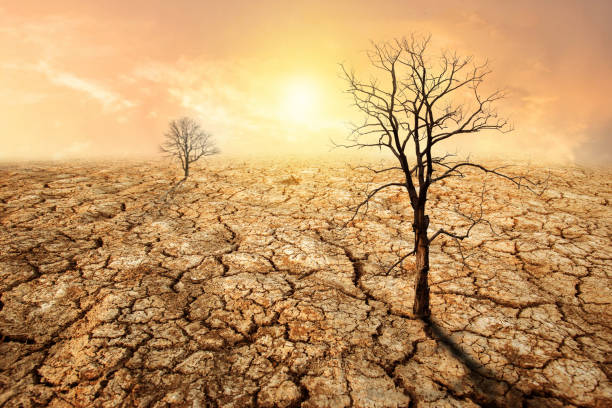 istock global warming drought lack of water dead trees. global warming, Sustainable development and green business based on renewable energy and without carbon dioxide emissions. 1479731692