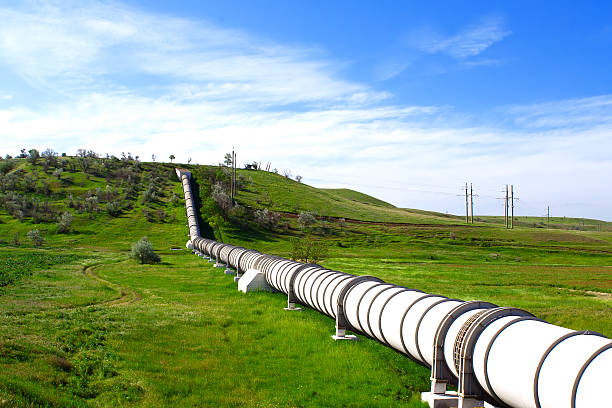 istock Industrial pipe with gas and oil 147973301