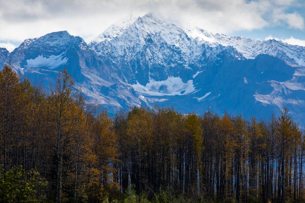 A striking landscape showcases a snow-capped mountain, surrounded by a lush forest at its base.