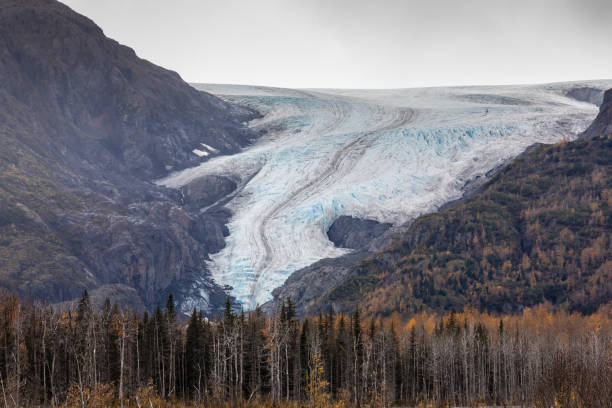 Exit Glacier , Kenai Fjords national Park near Seward , Alaska.