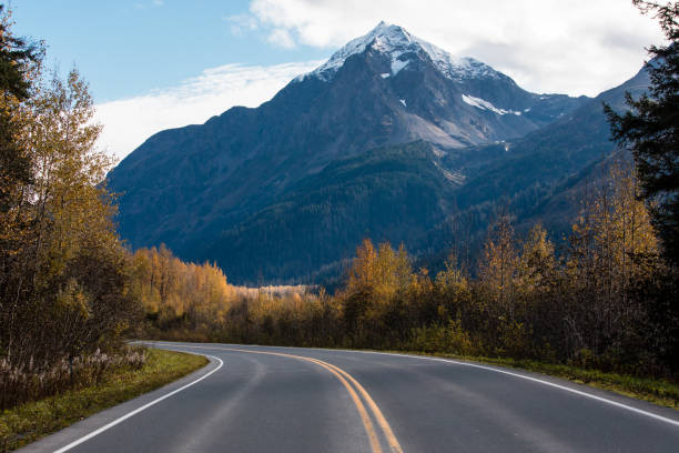 A striking landscape showcases a snow-capped mountain, accompanied by a lush forest, and winding road at its base.
