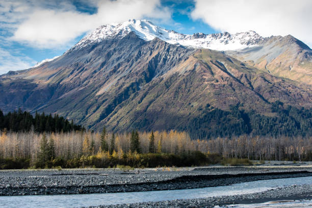 A striking landscape showcases a snow-capped mountain, accompanied by a lush forest and flowing river at its base.