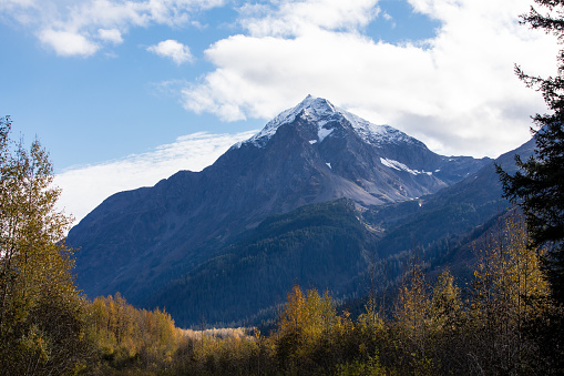 A striking landscape showcases a snow-capped mountain, surrounded by a lush forest at its base.