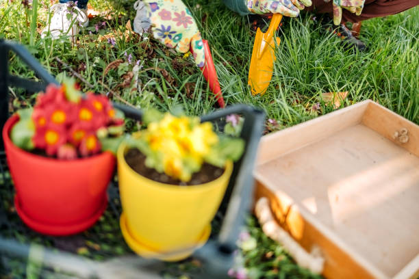 istock Focus on red and yellow colour 1479737019