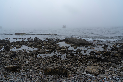 Fishing with Fog