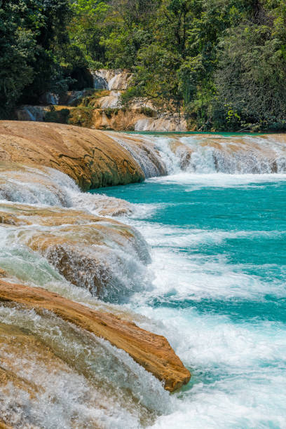 istock Agua Azul Waterfalls, Chiapas, Mexico 1479744697