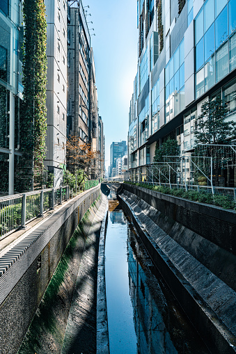 Stream flowing through concrete embankment in Tokyo