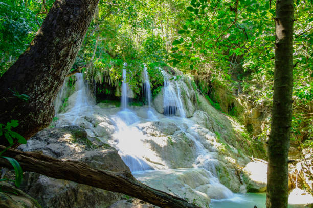 cachoeira na floresta tropical profunda no parque nacional de erawan. - erawan falls fotos - fotografias e filmes do acervo