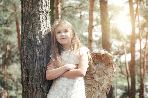 Portrait little girl in angel image with gold wings standing near tree in forest, looking up. Happy young lady in white dress in sunshine woodland. Environmental protection concept. Copy ad text space