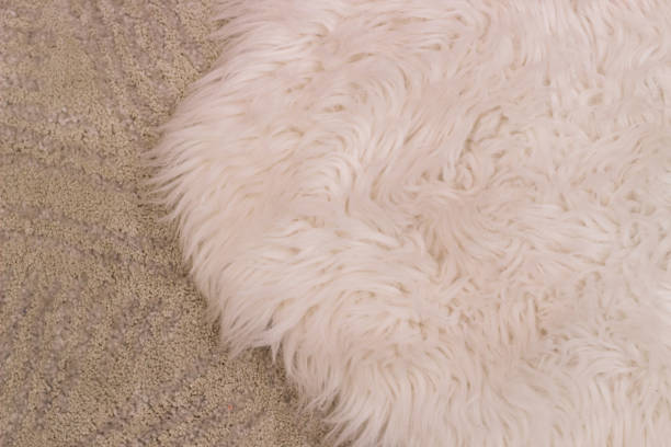 istock The texture of the beige textile carpet 1479750417