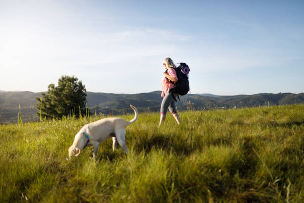 Senior woman on a hike with her pets Active seniors on the country side dog disruptagingcollection stock pictures, royalty-free photos & images