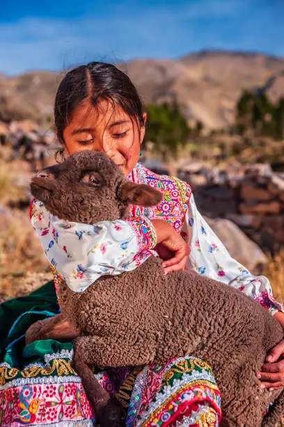 Peruvian young girl in national clothing playing with llama near Colca Canyon, Peru. Colca Canyon is a canyon of the Colca River in southern Peru. It is located about 100 miles (160 kilometers) northwest of Arequipa. It is more than twice as deep as the Grand Canyon in the United States at 4,160 m. However, the canyon's walls are not as vertical as those of the Grand Canyon. The Colca Valley is a colorful Andean valley with towns founded in Spanish Colonial times and formerly inhabited by the Collaguas and the Cabanas. The local people still maintain ancestral traditions and continue to cultivate the pre-Inca stepped terraces.