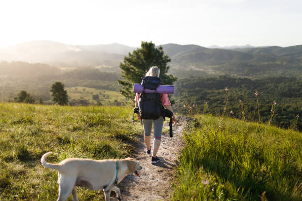 istock Elder woman with a backpack walking on a trail with her dog 1479752694