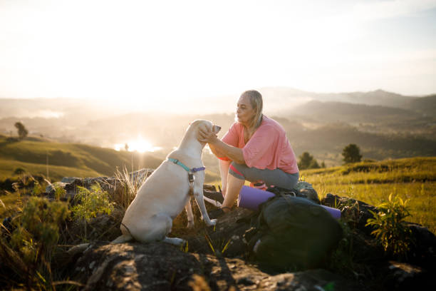 istock Woman sitted on rocks and caressing her dog 1479752845