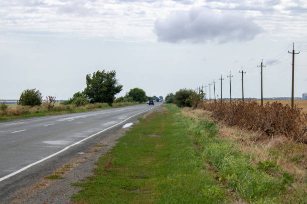 istock View on the long roadside which green grass, prickly brown plants. 1479753101