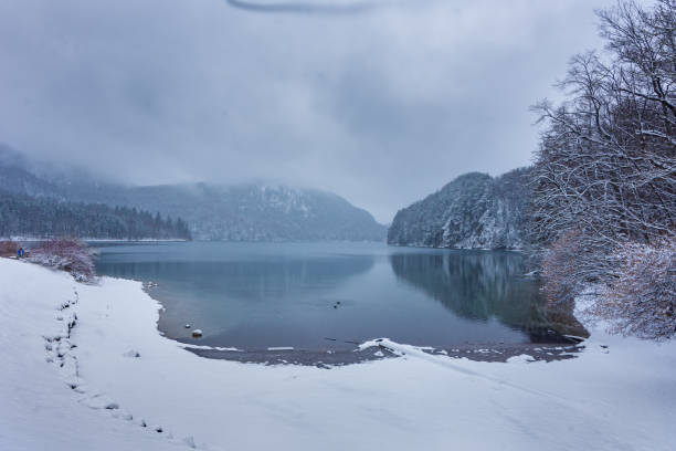istock Vista di Alpsee - Hohenschwangau 1479755183