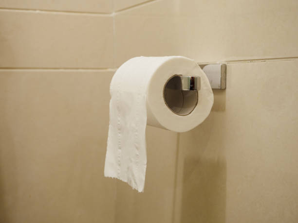 istock Toilet paper roll holder 1479755989