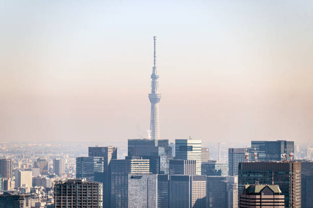 Tokyo, Japan skyline with the Tokyo Sky Tree